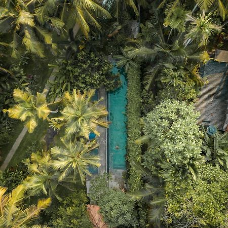 Dreamtime Hotel Hikkaduwa Exterior foto