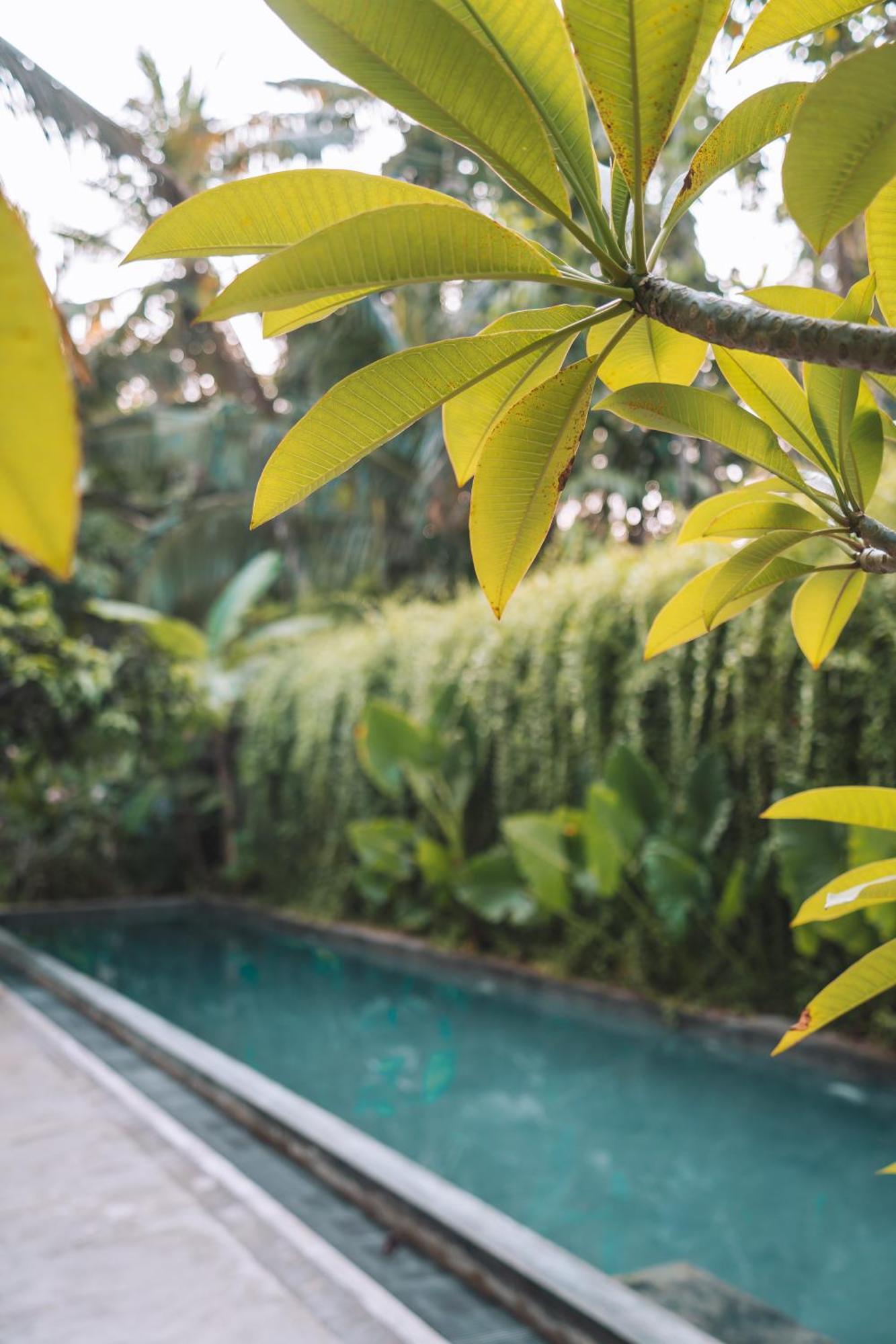 Dreamtime Hotel Hikkaduwa Exterior foto