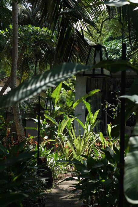 Dreamtime Hotel Hikkaduwa Exterior foto