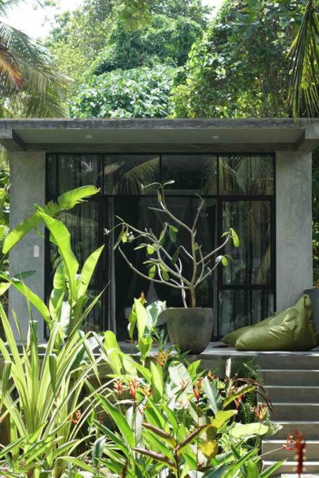 Dreamtime Hotel Hikkaduwa Exterior foto