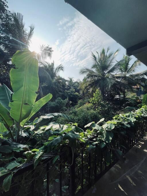 Dreamtime Hotel Hikkaduwa Exterior foto